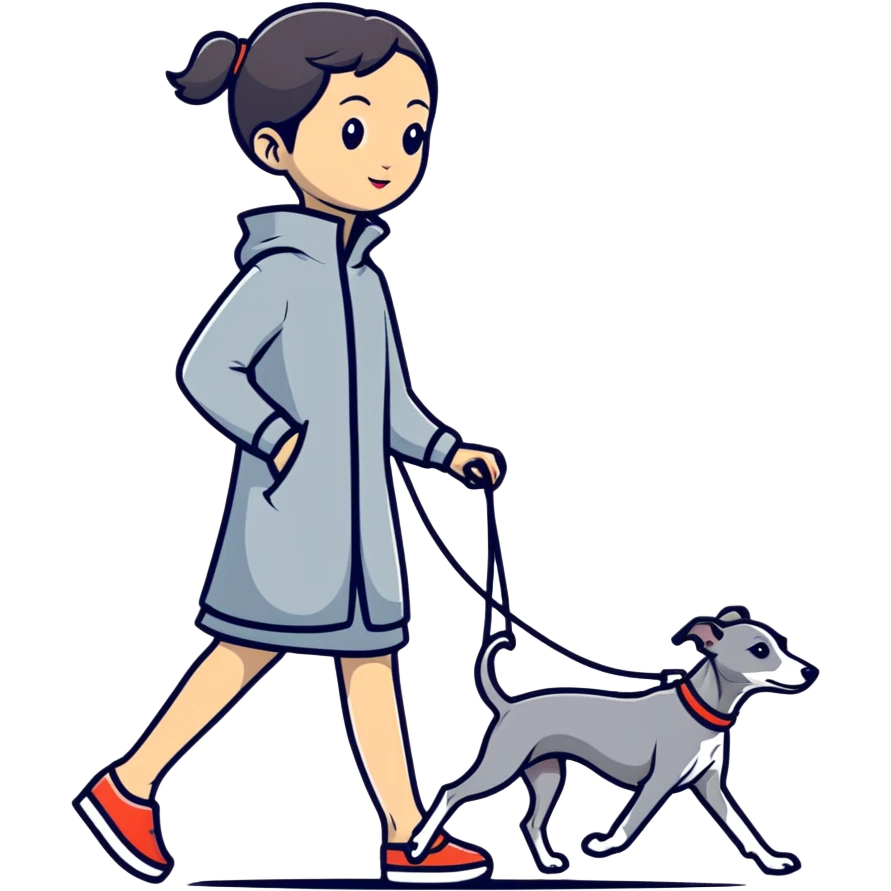 Pretty Asian girl walking a pure solid grey Italian greyhound with absolutely no white markings anywhere on the dog emoji