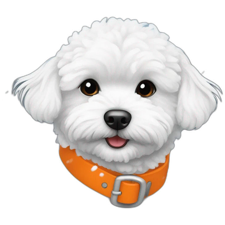 white maltipoo enjoying in the snow with orange collar emoji