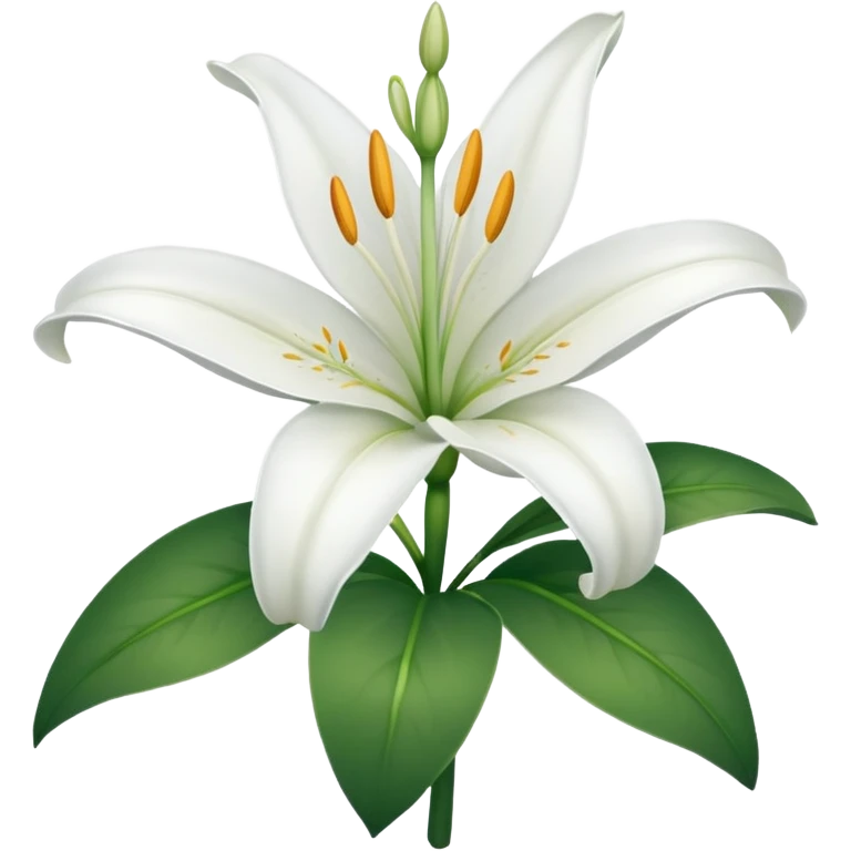 emoji de una azucena blanca emoji