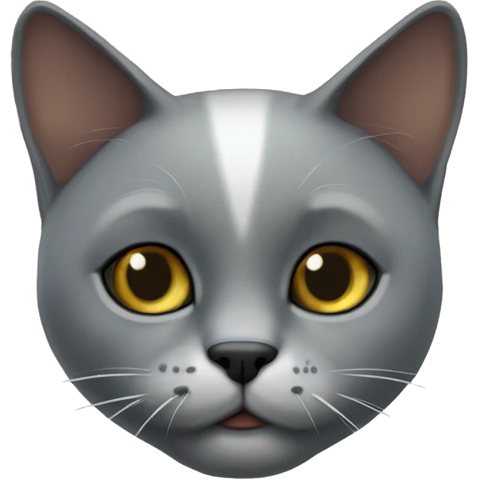 Черная кошка с голубыми глазами  emoji