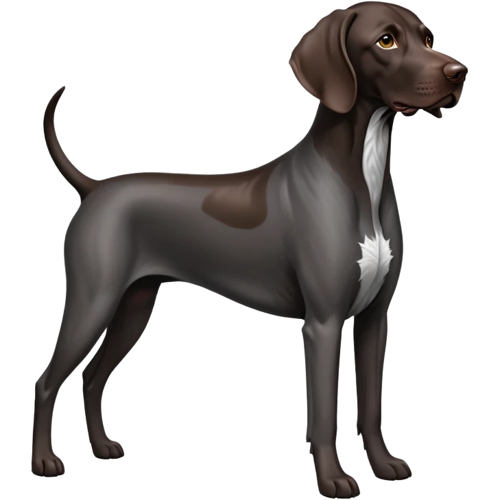 Black German Short-haired Pointer emoji