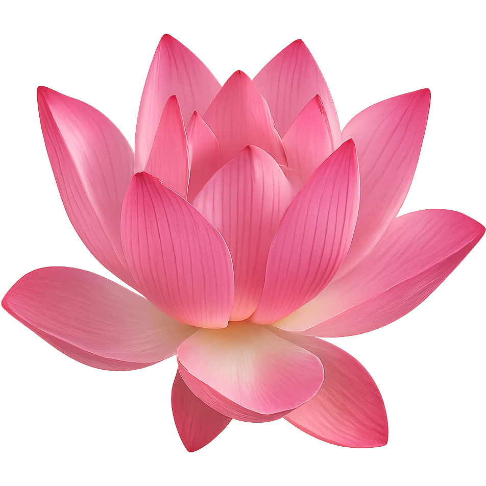 pink lotus, no background emoji