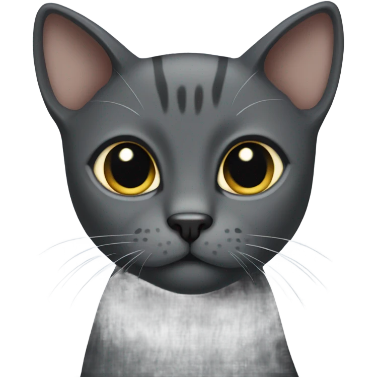 Dark grey cat shorthair emoji