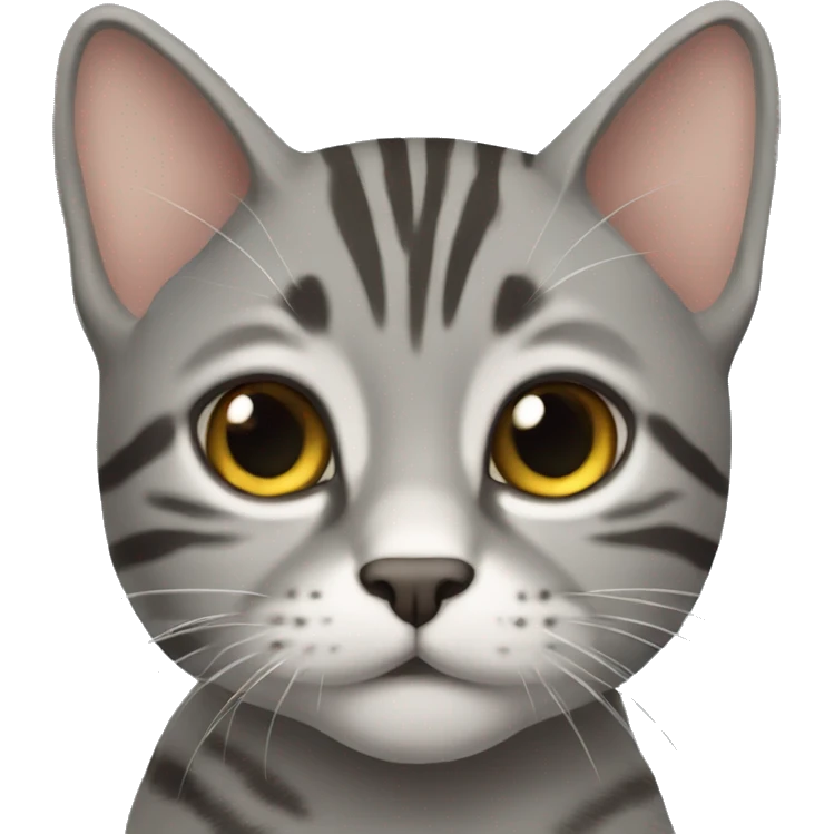 Gray Tabby Cat emoji