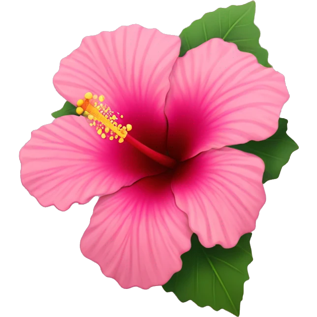 Hibiscus flower that’s pink emoji