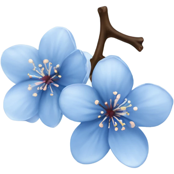 Blue cherry blossom  emoji