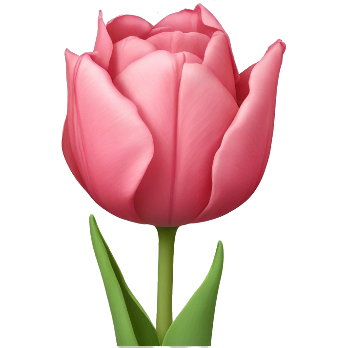 Tulip rose emoji