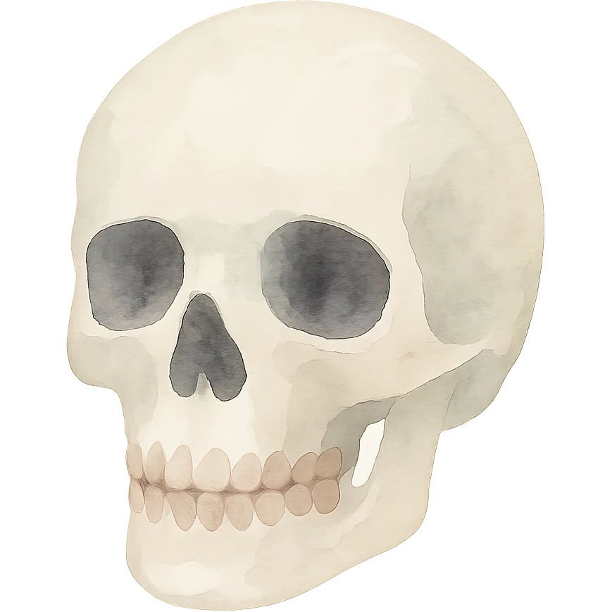 skeleton head, watercolor style emoji