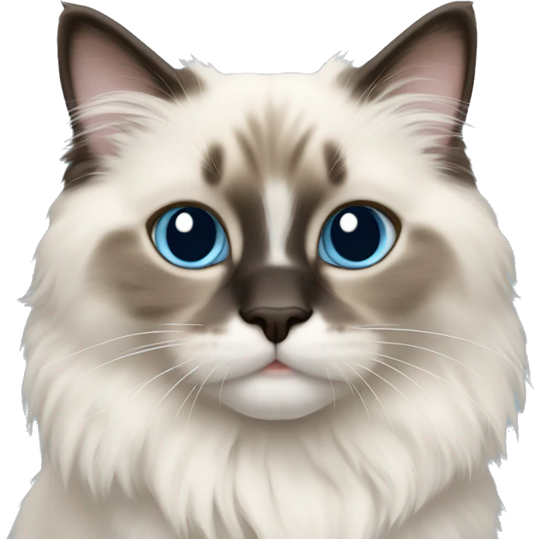 ragdoll kitten emoji