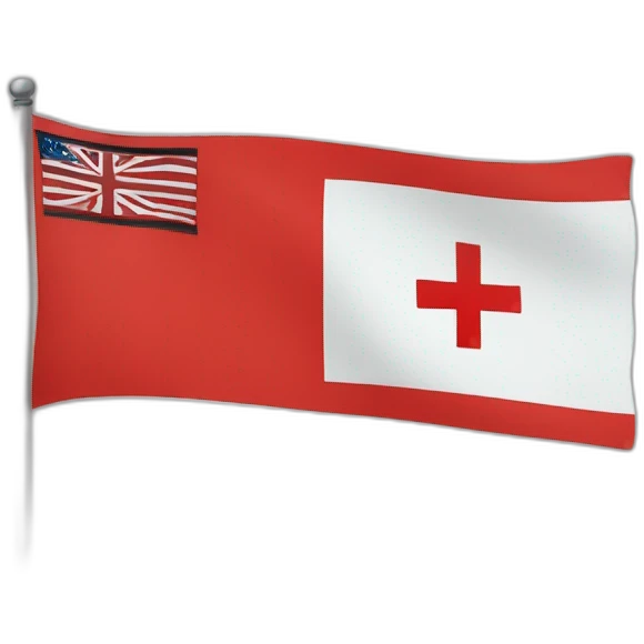 a rectangular flag with a red background, a white circle on center left and a black plus in the circle emoji