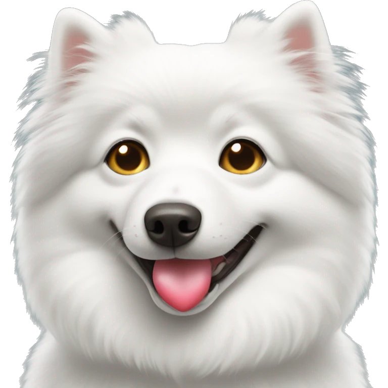 white spitz showing heart with his paws emoji