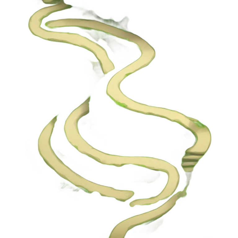 hiking trail emoji