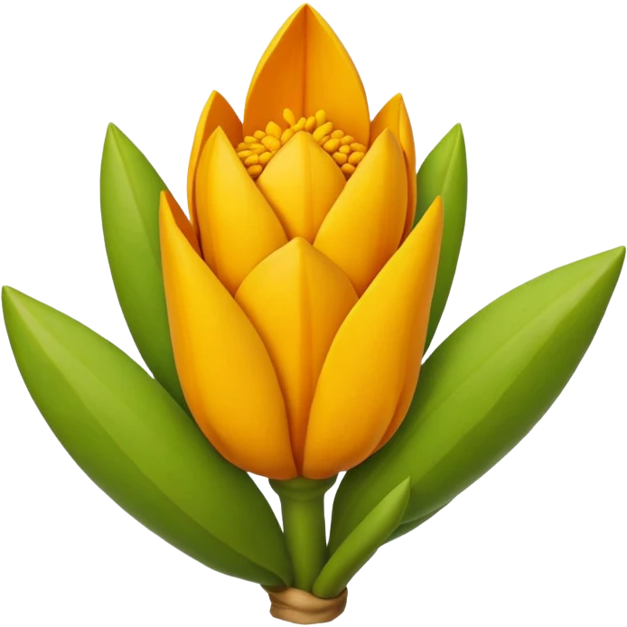curcuma emoji