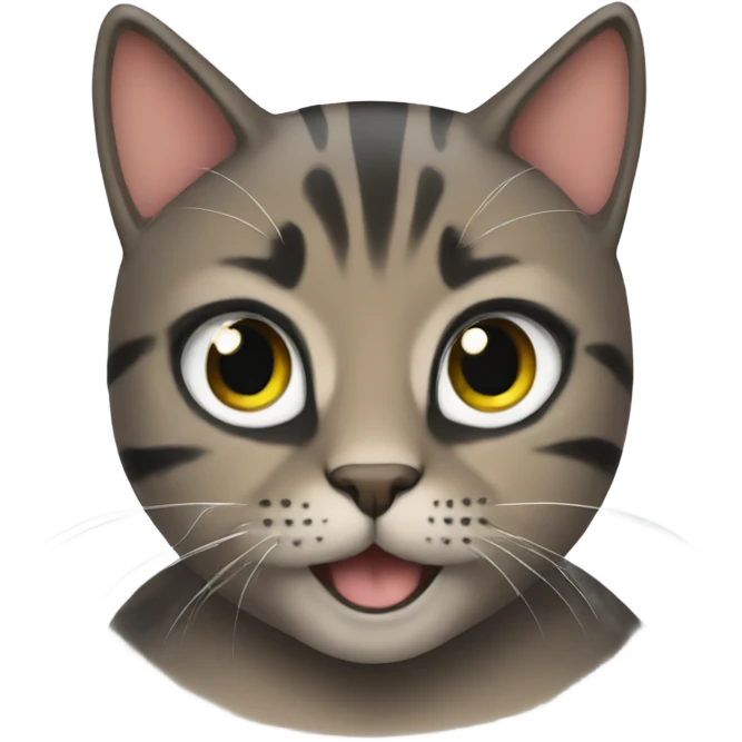 Kat emoji
