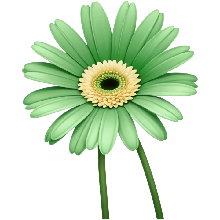 single Soft Green Gerbera Daisy, straight stem emoji