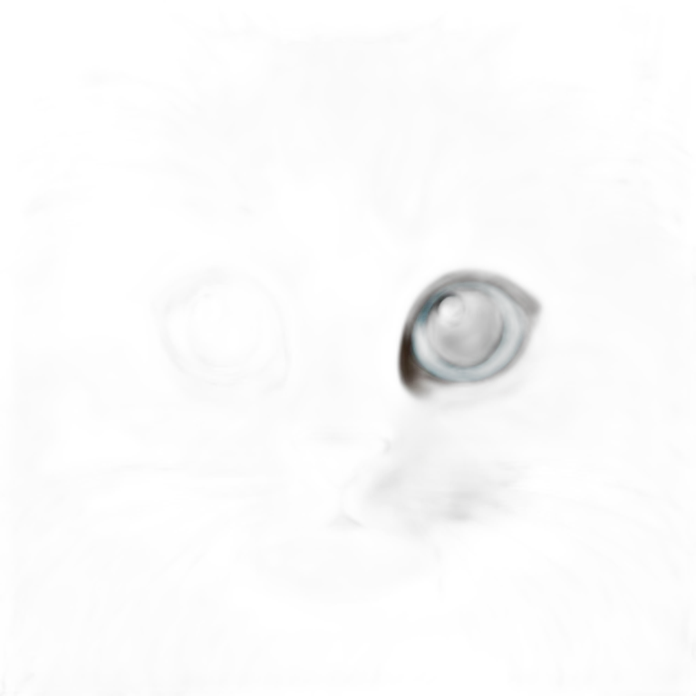 colorpointe ragdoll kitten emoji