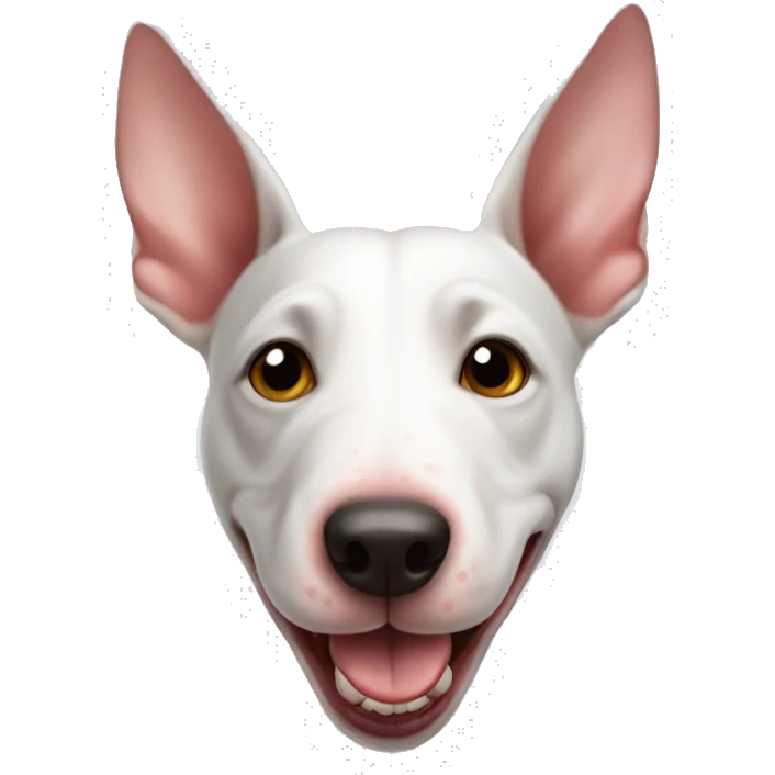 Bull Terrier, happy with heart, on transparent background emoji