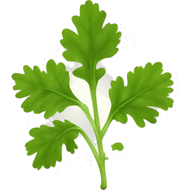 Coriander  emoji