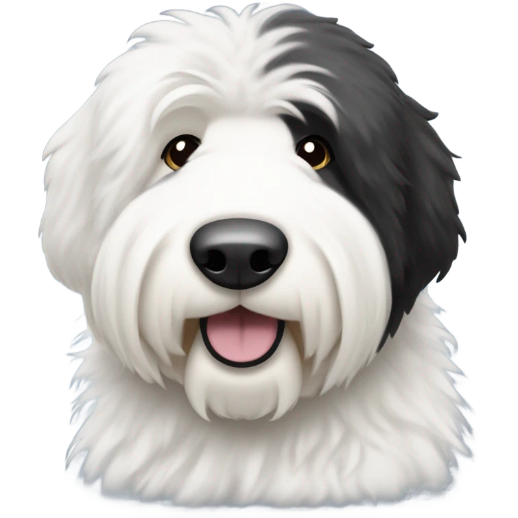 Old English sheepdog with a half and half face like a black and white cookie emoji