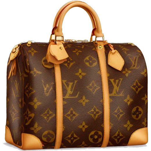 Louis vuitton bag with euros emoji
