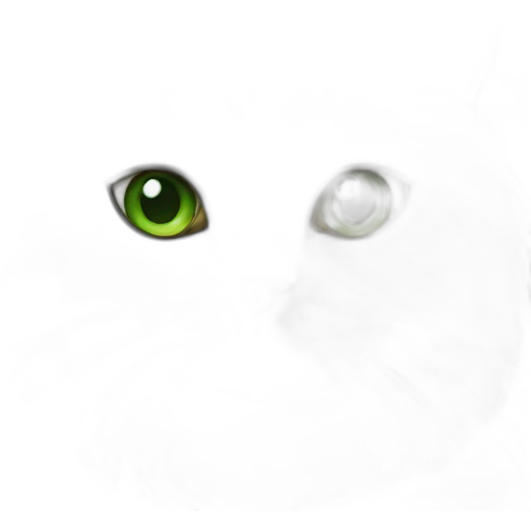silver persian cat with green eyes emoji