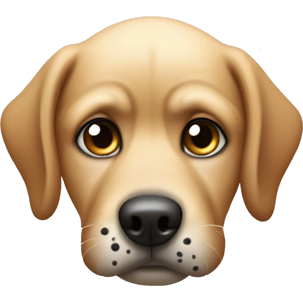 a dog with folded ears, totally black spots around eyes, short hairs, long mouth and small eyeballs looking up in awkward feelings emoji