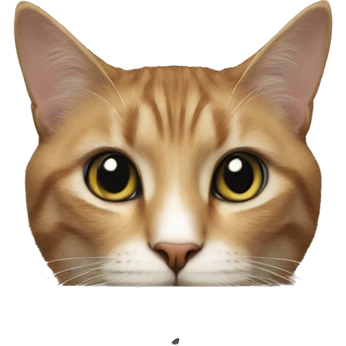 Cat weth a mac book pro emoji