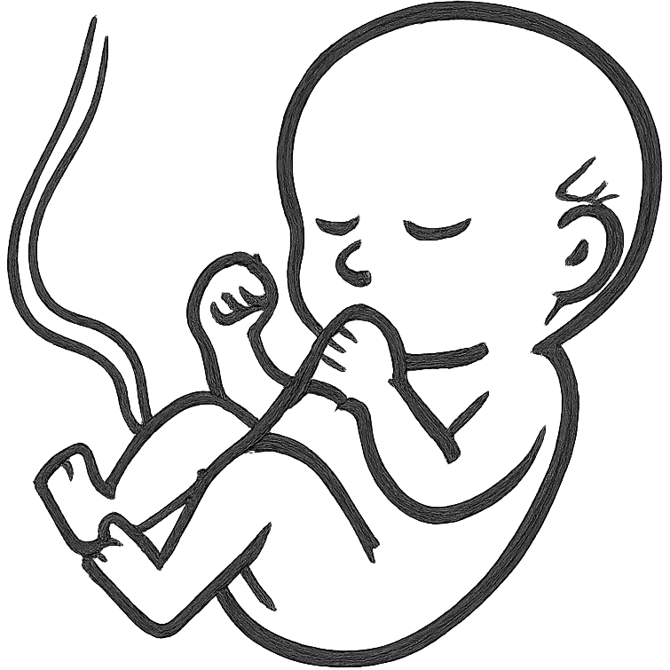 Baby in the womb emoji