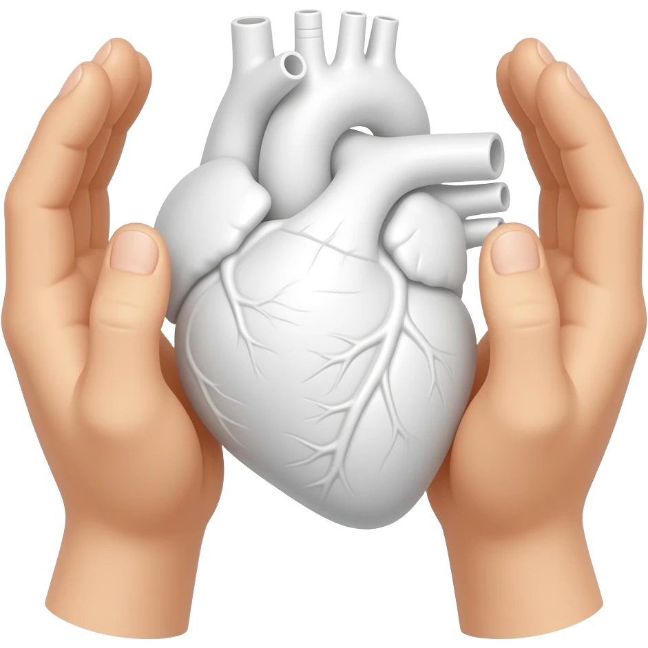 руки от первого лица по локоть держат анатомическое сердце белого цвета emoji