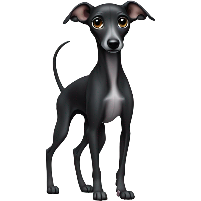 Black Italian greyhound puppy  emoji