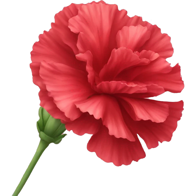 red carnation flower emoji ios emoji