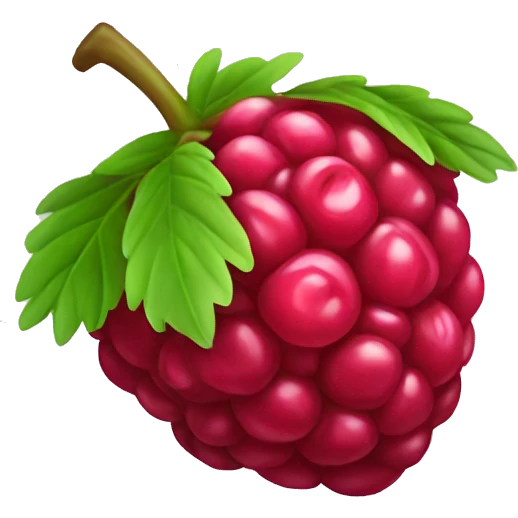 rasberry emoji