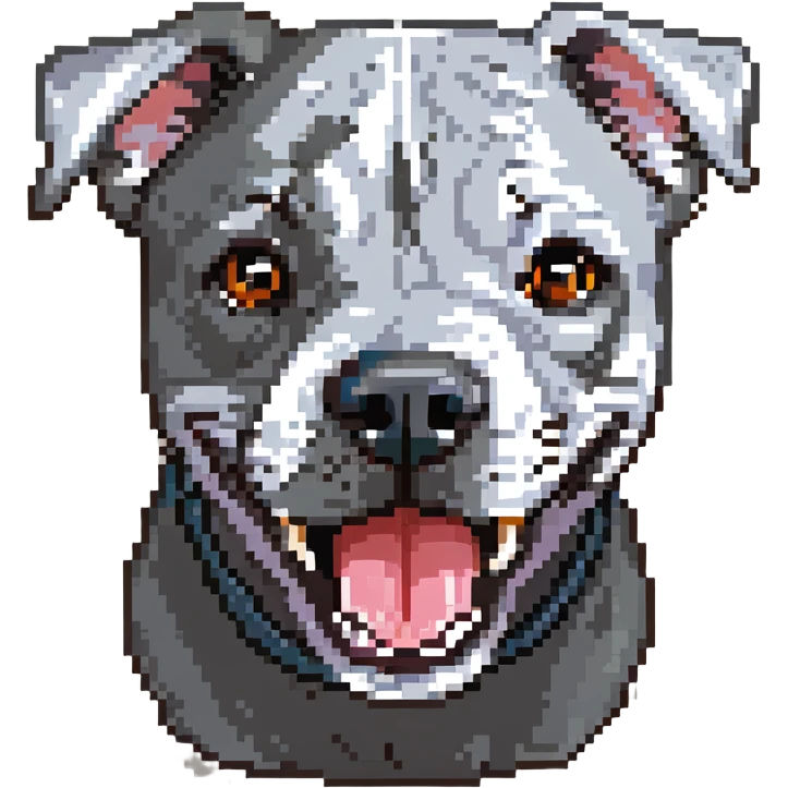 round circle puppy head full grey bleu staffy, big open mouth, big tongue out, stupid expression emoji