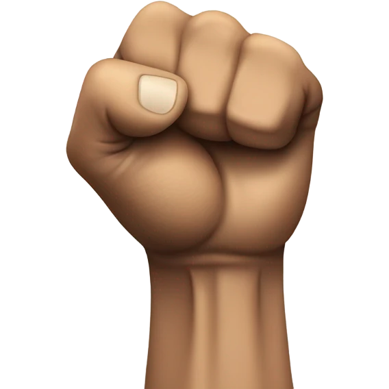 Punch  emoji
