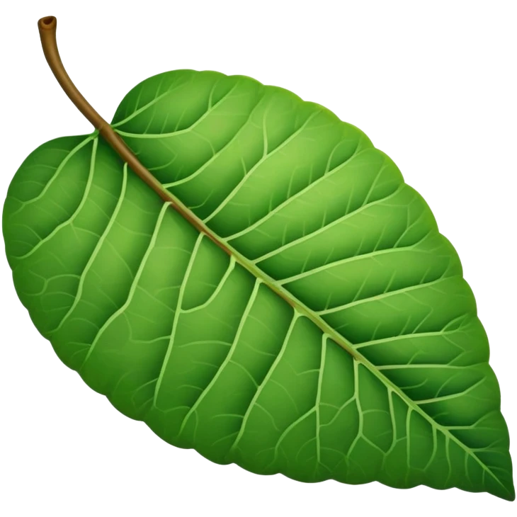 A guava leaf emoji