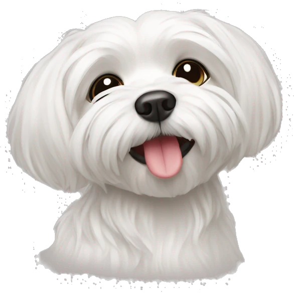 Maltese dog gezet kiss emoji
