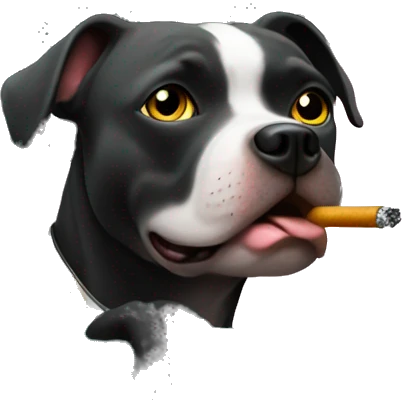 Black pitbul smoking a cigarette driving a truck  emoji