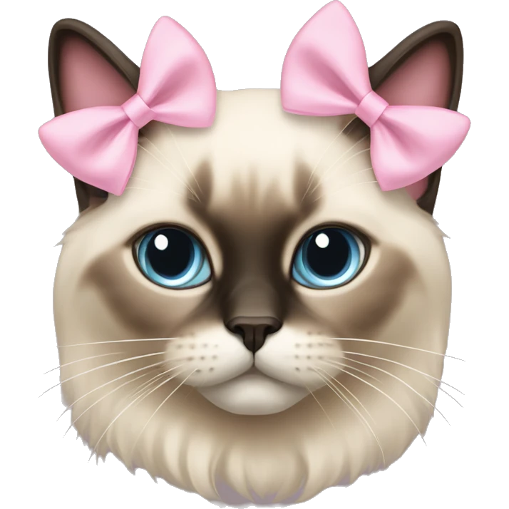Long haired Siamese cat with pastel pink bow emoji
