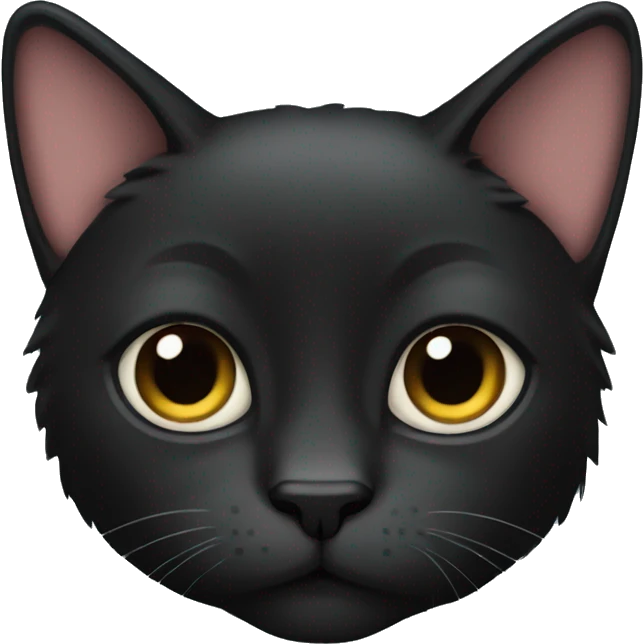 black fold cat emoji