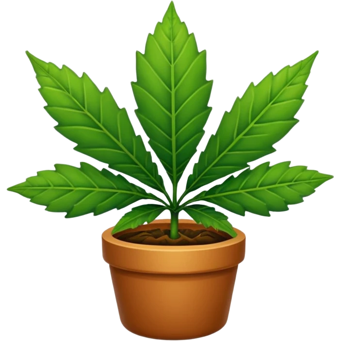 Pot Leaf emoji