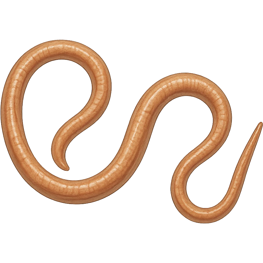 intestinal parasite on isolated background, realistic details, natural colors, medical illustrative style emoji