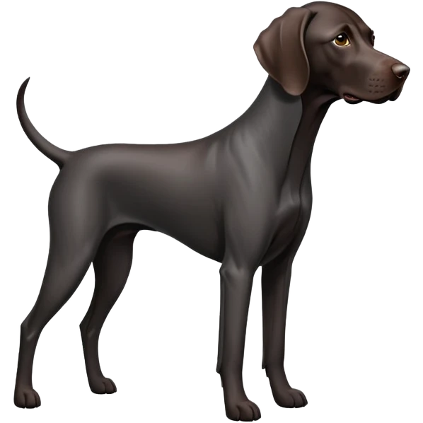 Black German Short-haired Pointer emoji
