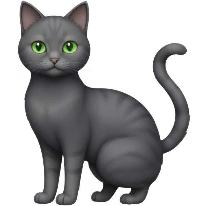 full body view of beautiful female solid dark grey cat with green eyes, grey face, white toes and white patch on chest emoji
