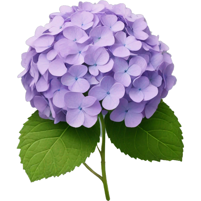 Hydrangea emoji