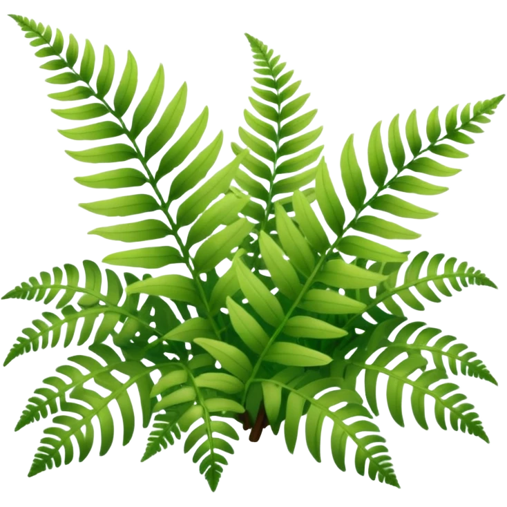 A cluster of soft green ferns growing under shaded trees. emoji