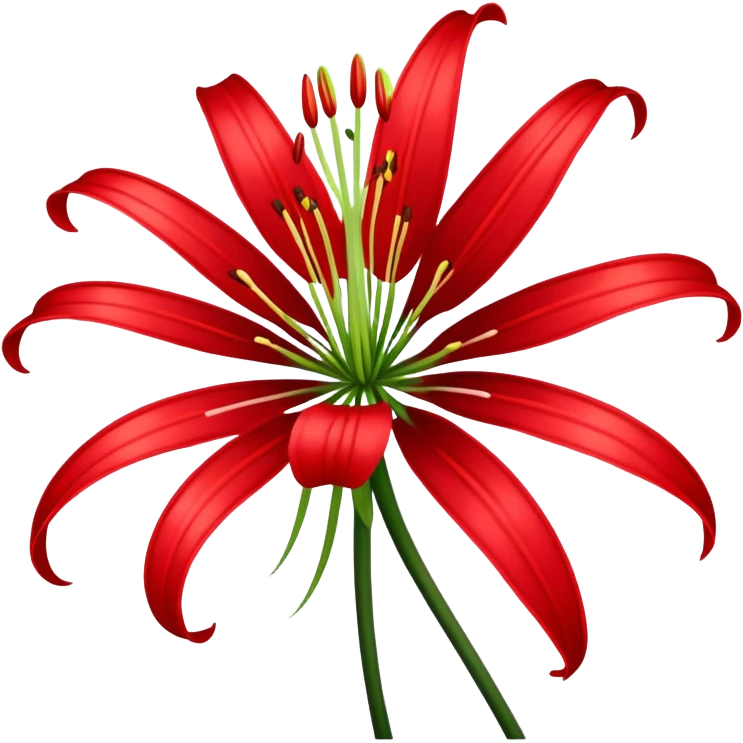 Red spider lily emoji