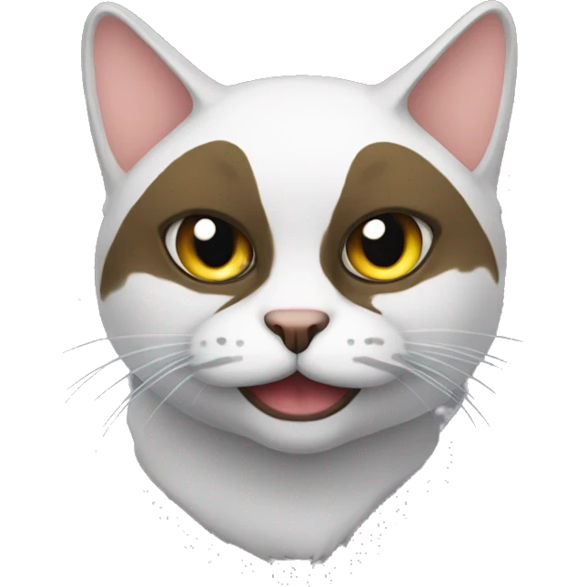 bandit cat emoji