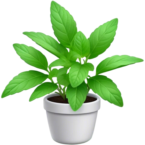Cinematic Realistic Mint Emoji, Fresh and lively, with deep green leaves covered in tiny veins, emanating a cool, refreshing aroma. The plant’s soft, rounded edges sway gently in the breeze, inviting calm and relaxation. Soft glowing outline, capturing the essence of freshness and cooling fragrance in a fragrant mint plant! emoji