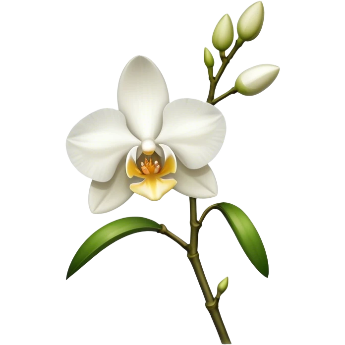 single white Dendrobium Orchid stem emoji