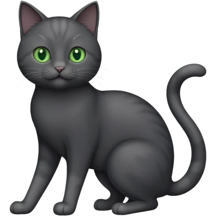 full body gorgeous solid dark grey cat with green eyes, white paws and white whiskers playing emoji